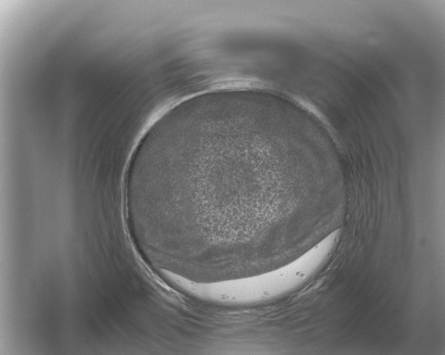 X0000064771467200602241935