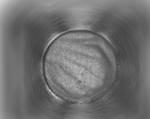 X0000064771468200602241935