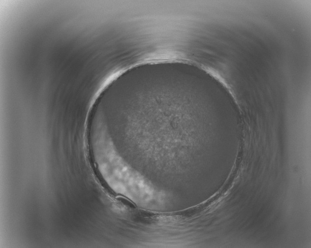 X0000064771469200602241935