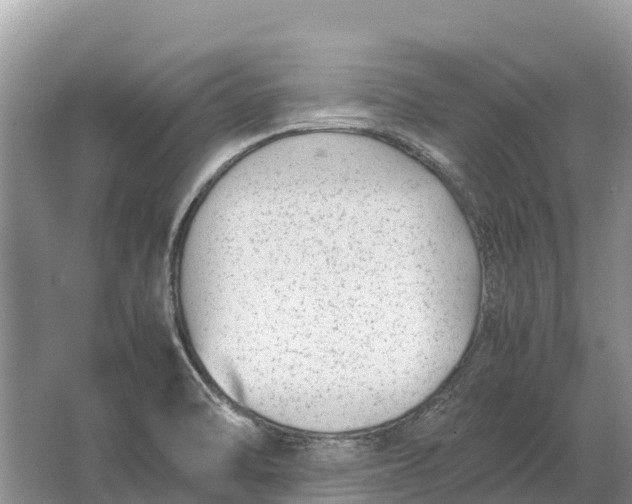 X0000064771470200602241935