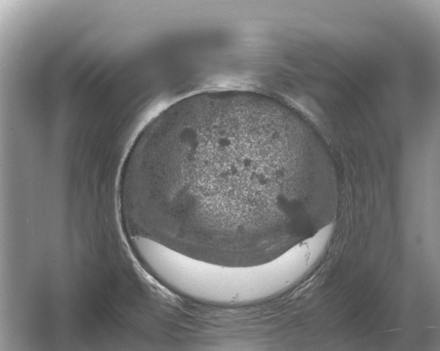 X0000064771471200602241935