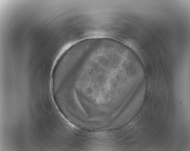 X0000064771472200602241935