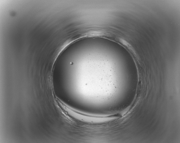 X0000064771473200602241934