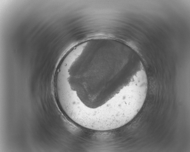 X0000064771474200602241934