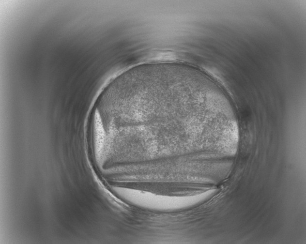 X0000064771475200602241934