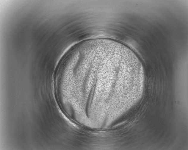 X0000064771476200602241934