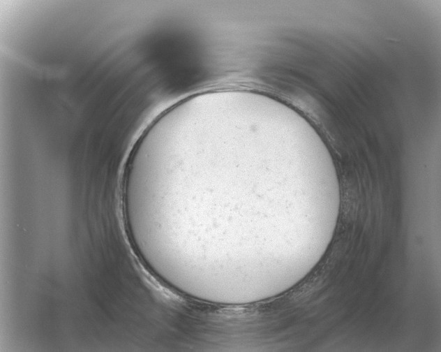 X0000064771478200602241934