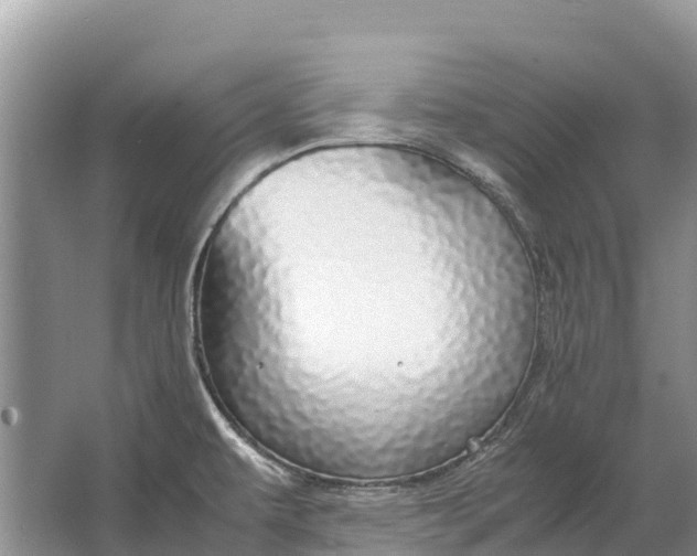 X0000064771479200602241934