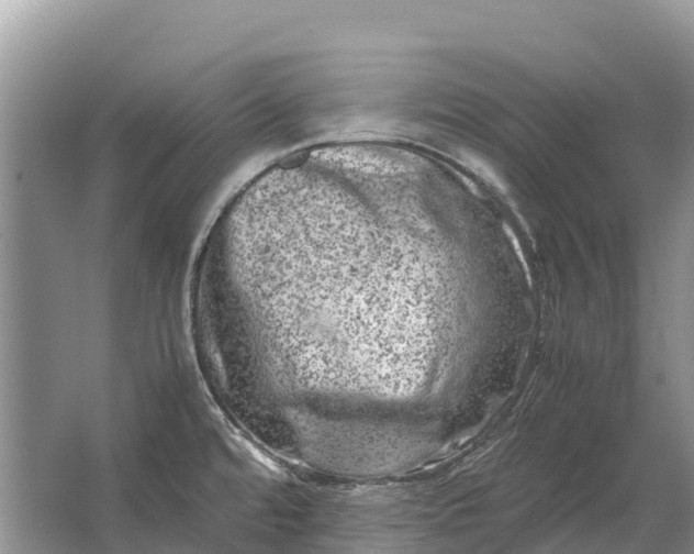 X0000064771480200602241934