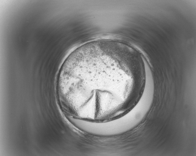 X0000064771483200602241934