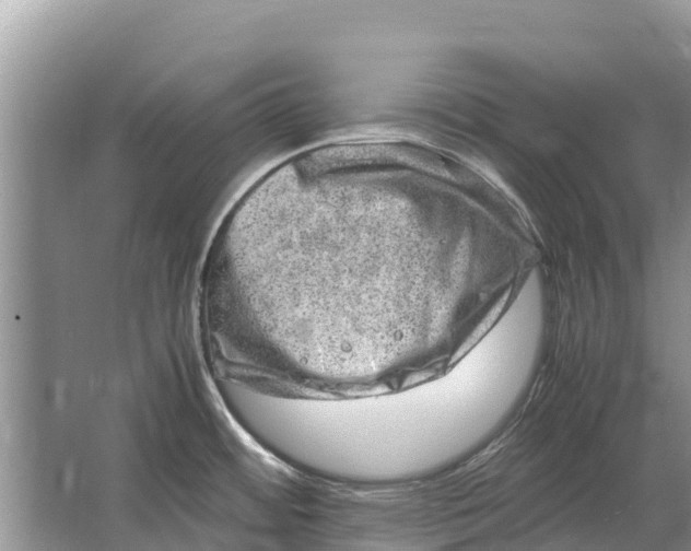 X0000064771484200602241934