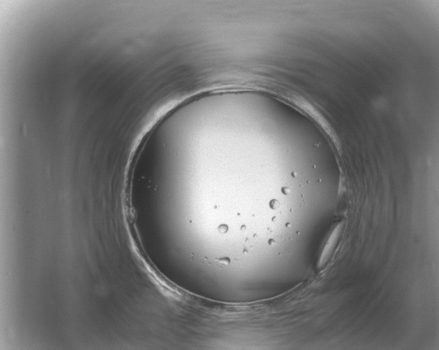 X0000064771485200602241934