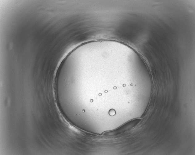 X0000064771486200602241934