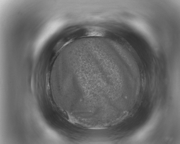 X0000064771487200602241934