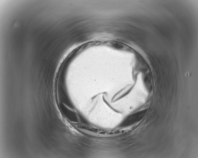 X0000064771488200602241934