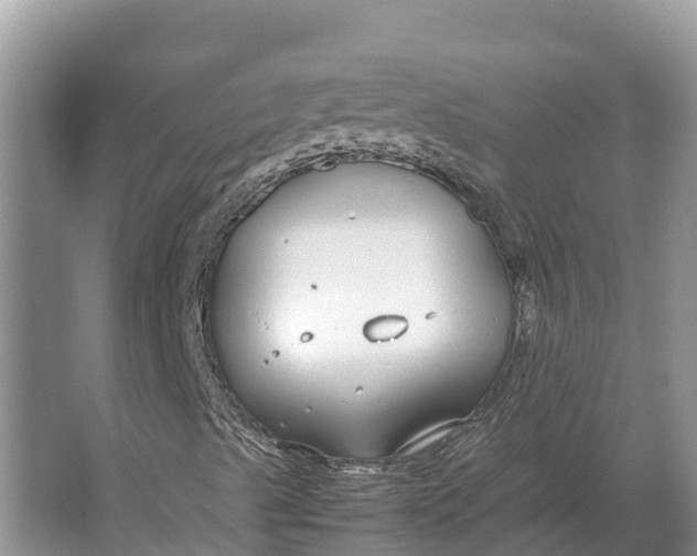 X0000064771489200602241933