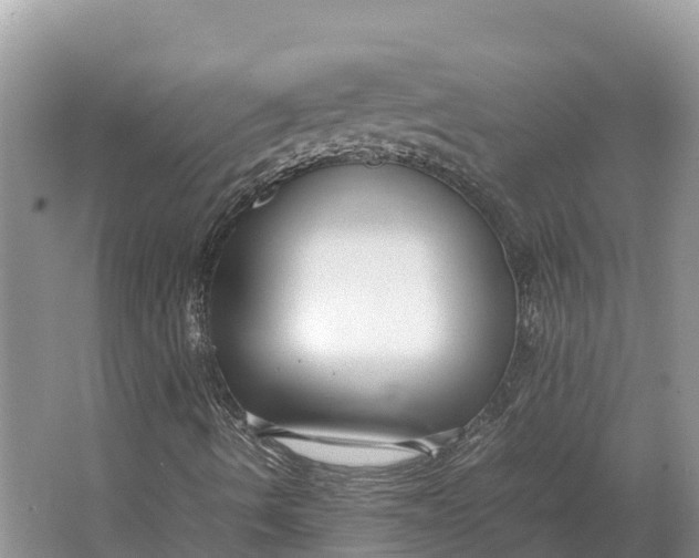 X0000064771490200602241933