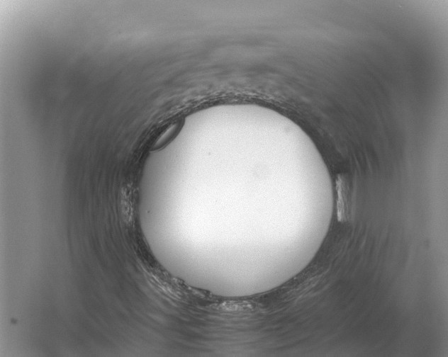 X0000064771491200602241933