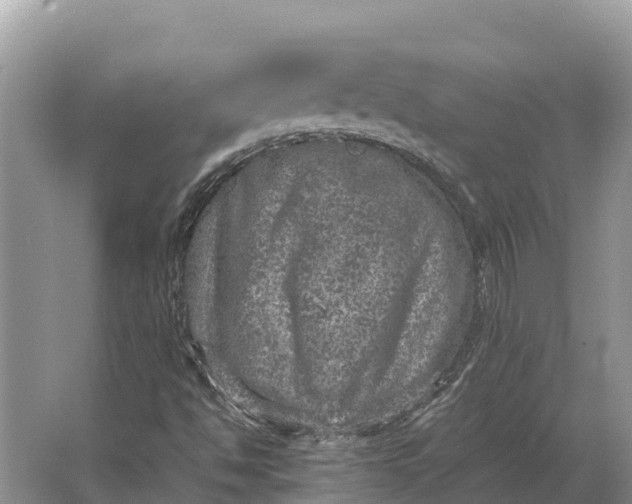 X0000064771494200602241933