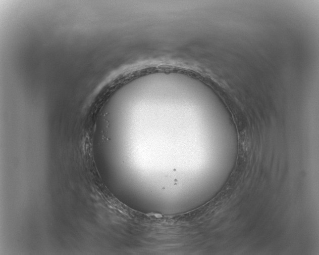 X0000064771495200602241933