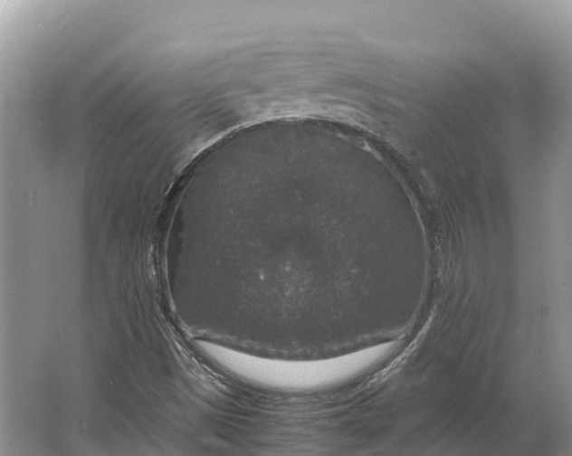 X0000064771497200602241933