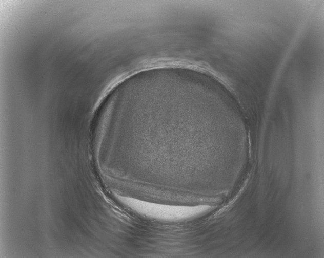 X0000064771501200602241933