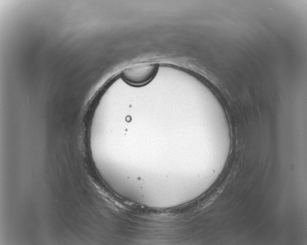 X0000064771502200602241933