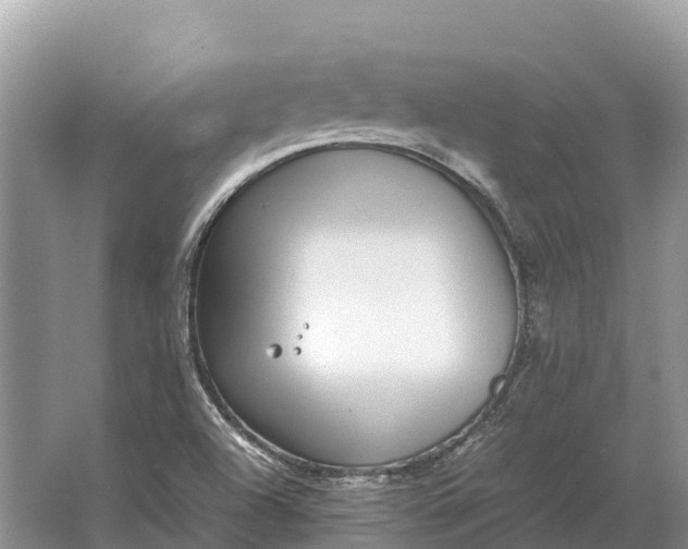 X0000064771504200602241933