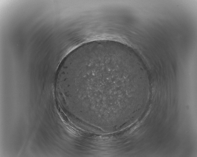 X0000064771505200602241933