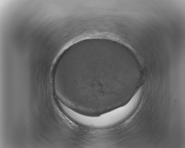 X0000064771506200602241933