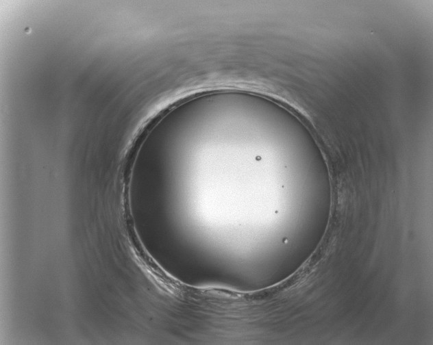 X0000064771507200602241933