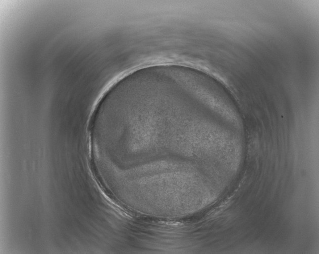 X0000064771509200602241933