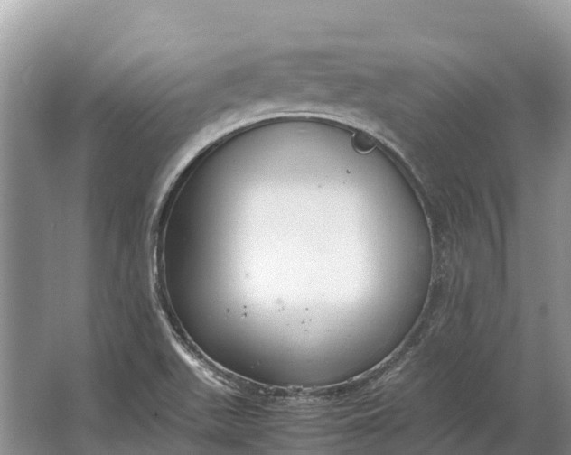 X0000064771511200602241933