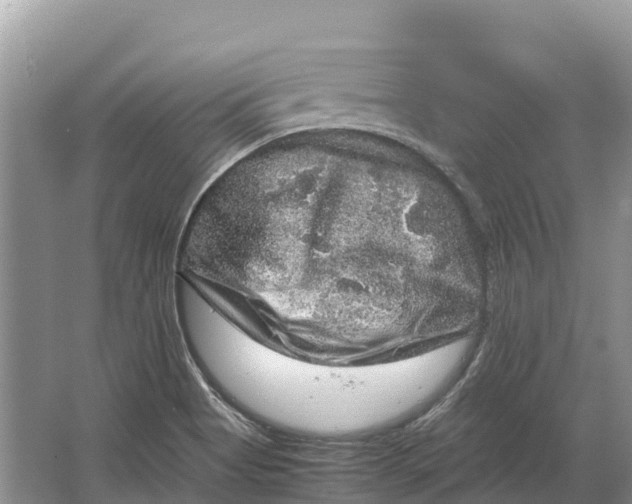 X0000064771513200602241934