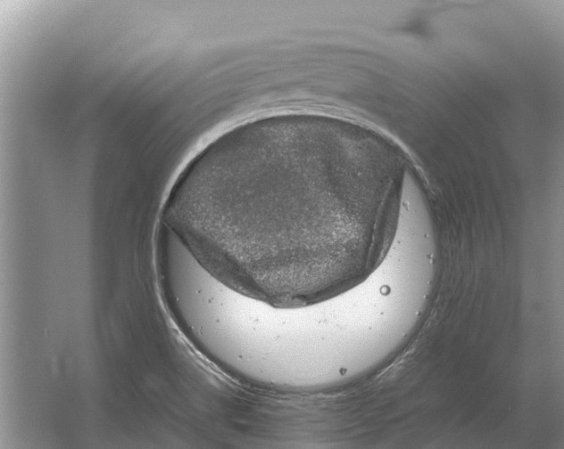 X0000064771514200602241934