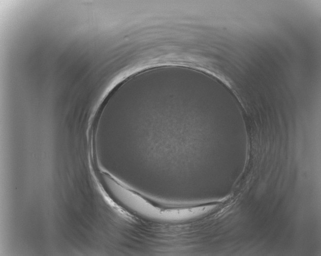 X0000064771515200602241934