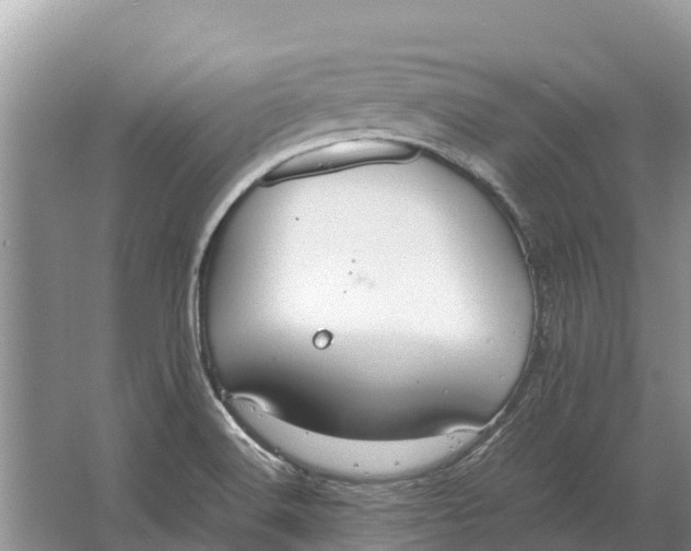 X0000064771516200602241934