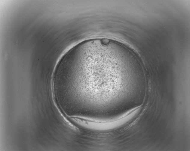 X0000064771517200602241934