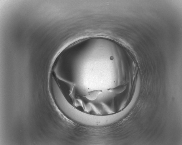 X0000064771520200602241934