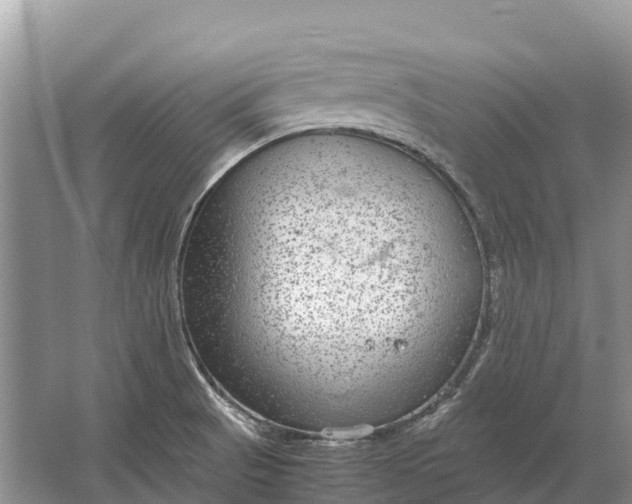 X0000064771521200602241934