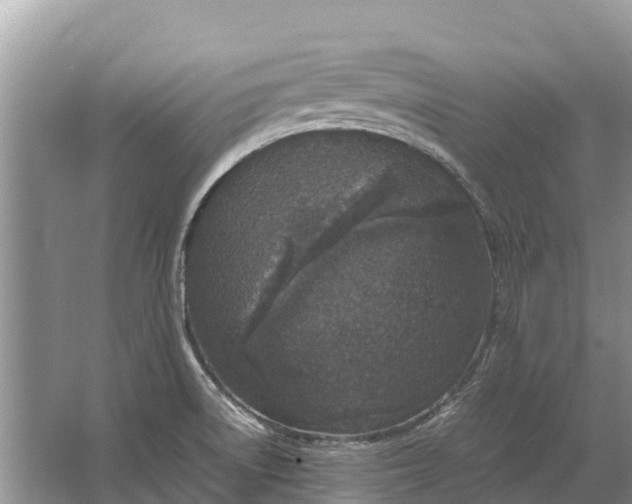 X0000064771522200602241934