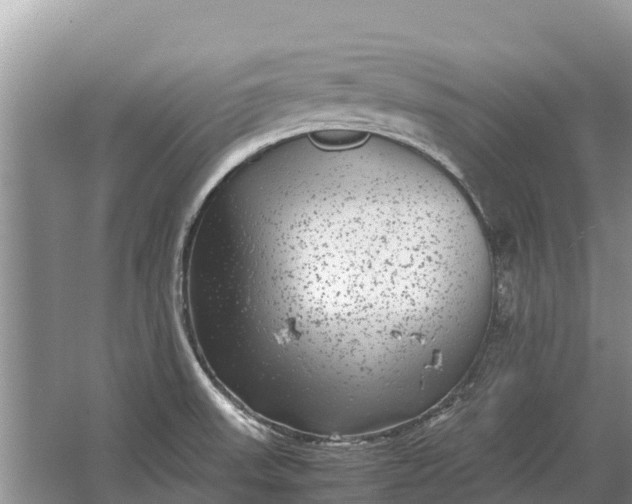 X0000064771523200602241934