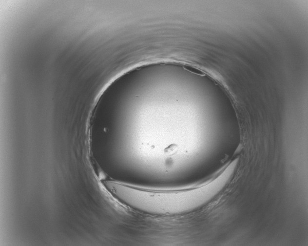 X0000064771524200602241934