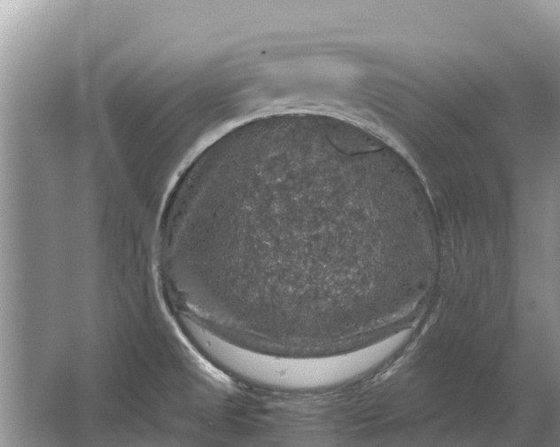 X0000064771525200602241934