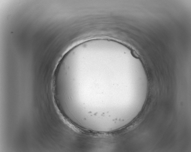 X0000064771526200602241934