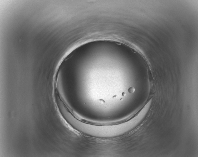 X0000064771528200602241934