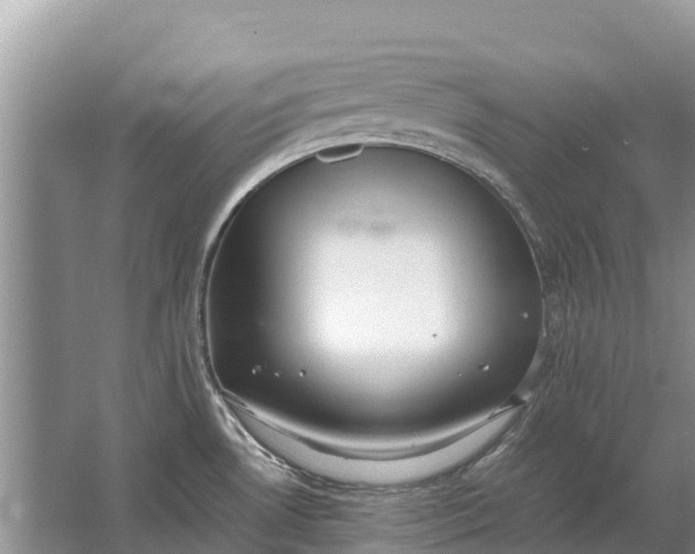 X0000064771530200602241934