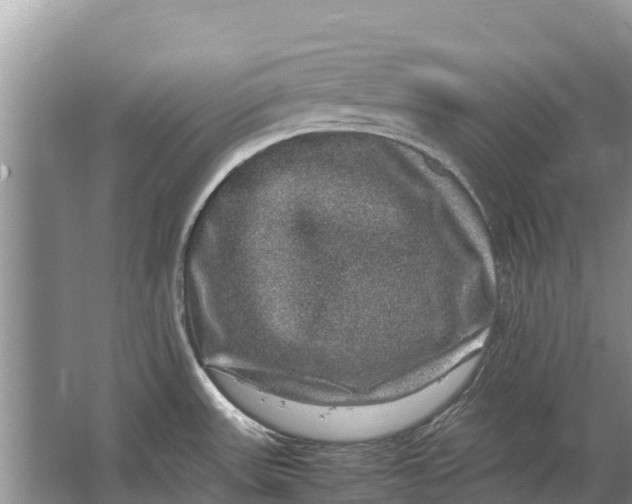 X0000064771531200602241934