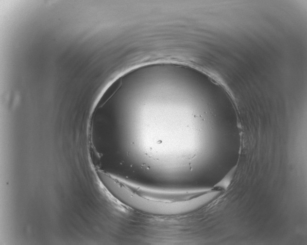 X0000064771532200602241934