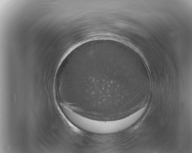 X0000064771533200602241934